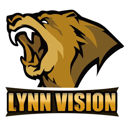 Lynn Vision